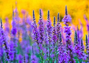 联想发布DeepSeek一体机解决方案 支持千亿参数大模型训练