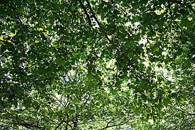 VR角斗士游戏《GORN》将于3月16日登陆PSVR2